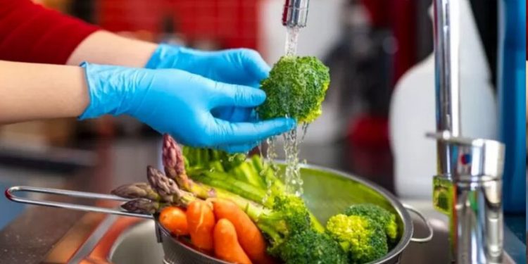 Dirección de Bromatología adquirió nuevas herramientas para una mejor labor en el departamento