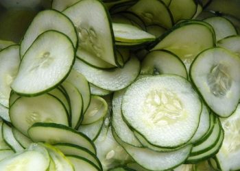 Pepino: Muy pocas calorías, mucha agua, vitaminas, minerales y fibra