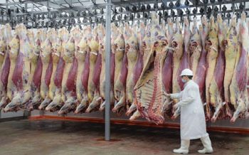 La faena vacuna cayó un 8,6% durante 2022