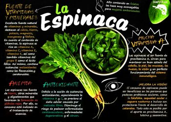 Las espinacas te ayudan a ser más fuerte