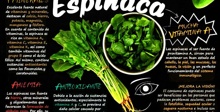 Las espinacas te ayudan a ser más fuerte