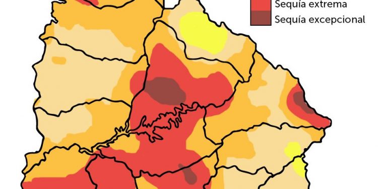 Más del 40% del territorio nacional se encuentra bajo sequía “severa”, según Inumet