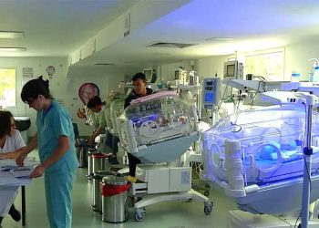 Cardiopatías congénitas: diez niños esperan por un trasplante de corazón en Uruguay