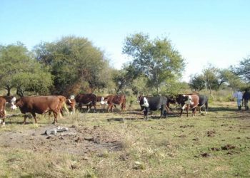 Reunión con productores por la sequía