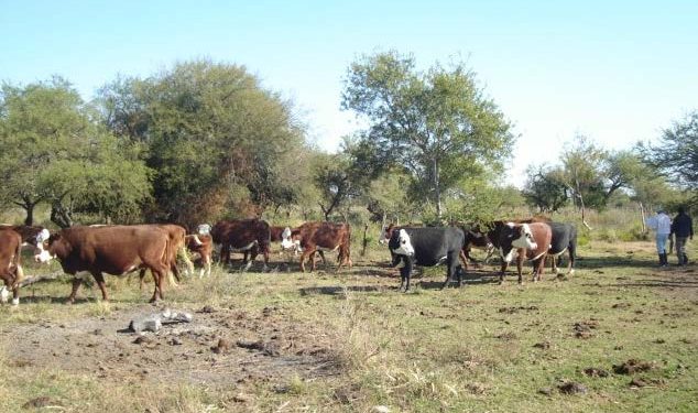 Reunión con productores por la sequía