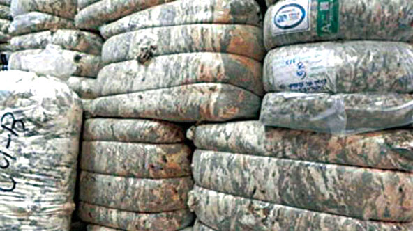 Exportaciones del rubro ovino bajaron 12,5%