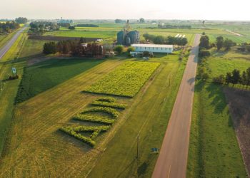 ADP – Agronegocios del Plata celebra sus 20 años