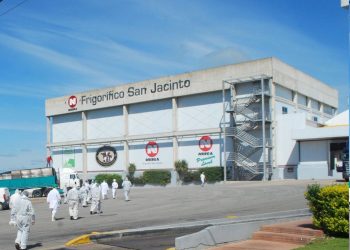 Algunas plantas decidieron suspender faenas por 2-3 semanas