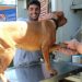Bienestar animal: se brindará servicio de castraciones caninas en el Centro de Barrio N° 6