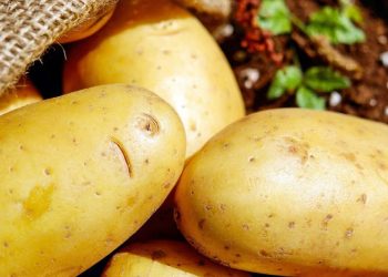 Un remedio casero para atenuar las canas con cáscaras de papa